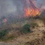 Πυρκαγιά σε χαμηλή βλάστηση στην Κοκκινόγη Ελασσόνας