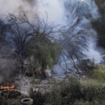 Πυρκαγιά σε δασική έκταση στη Δ.Ε. Κέχρου Ροδόπης