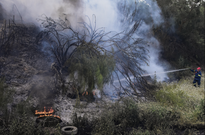 Πυρκαγιά σε δασική έκταση στη Δ.Ε. Κέχρου Ροδόπης