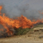 Πυρκαγιά σε χαμηλή βλάστηση στη Μαυρορράχη Θεσσαλονίκης