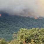 Ενισχύθηκαν οι δυνάμεις για την πυρκαγιά σε δασική έκταση στην Αλεξανδρούπολη