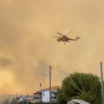 Πυροσβεστική: 46 δασικές πυρκαγιές εκδηλώθηκαν το τελευταίο 24ωρο