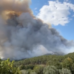 Πυρκαγιά σε δασική έκταση στον Μίσχο Ροδόπης (Βίντεο)