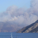 Πυρκαγιά σε δασική έκταση στην περιοχή Tαρσός Βοιωτίας (Φωτό)