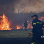 Πυρκαγιά σε αγροτοδασική έκταση στην περιοχή Κόκλα Άργους