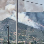 Πυρκαγιά σε δασική έκταση στον Αυλώνα Αττικής