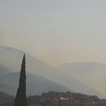 Πυρκαγιά στη Βοιωτία: Οι ισχυροί άνεμοι δυσχεραίνουν το έργο της πυρόσβεσης