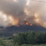 Πυρκαγιά σε δασική έκταση στο Λάγιο Λακωνίας