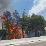 Πυρκαγιά σε ξερά χόρτα στο Σχολάρι Θεσσαλονίκης