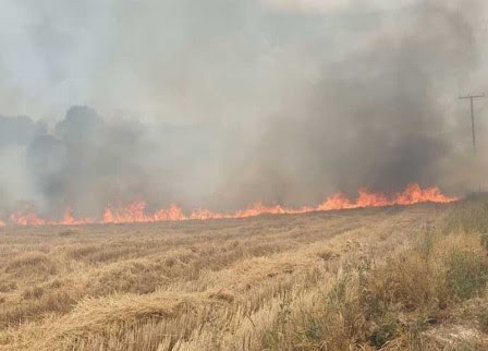 Πρόστιμο για πυρκαγιά σε ξηρά χόρτα εντός οικοπεδικού χώρου στην Παλιά Πέλλα