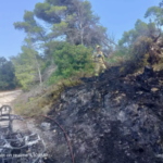 Άμεσα τέθηκε υπό έλεγχο η πυρκαγιά σε δασική έκταση σε περιοχή της Ζακύνθου