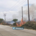 Υπό μερικό έλεγχο τέθηκε η πυρκαγιά σε αγροτική έκταση στην περιοχή Θάμνα του δήμου Ίασμου Ροδόπης