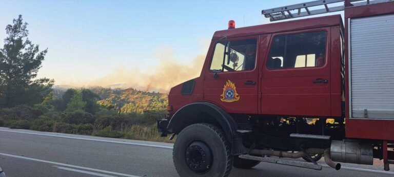 Σε ύφεση και οριοθετημένη η πυρκαγιά στα Άνω Δολιανά Αρκαδίας