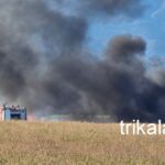 Πυρκαγιά σε έκταση με καλάμια στο Μέγα Κεφαλόβρυσο Τρικάλων