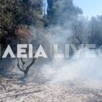 Πυρκαγιά σε αγροτοδασική έκταση στην περιοχή Πράσινο Πύργου