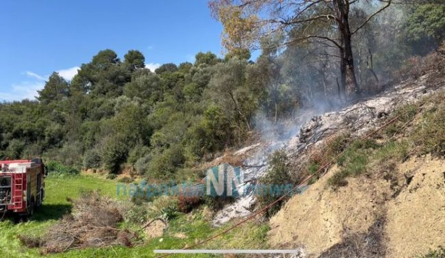 Άμεσα τέθηκε υπό έλεγχο η πυρκαγιά στην Άνω Βασιλική Ναυπακτίας