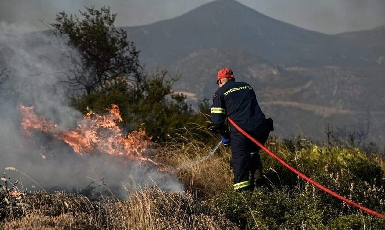 Συλλήψεις και επιβολή διοικητικών προστίμων για πρόκληση πυρκαγιών σε Ηλεία και Εύβοια