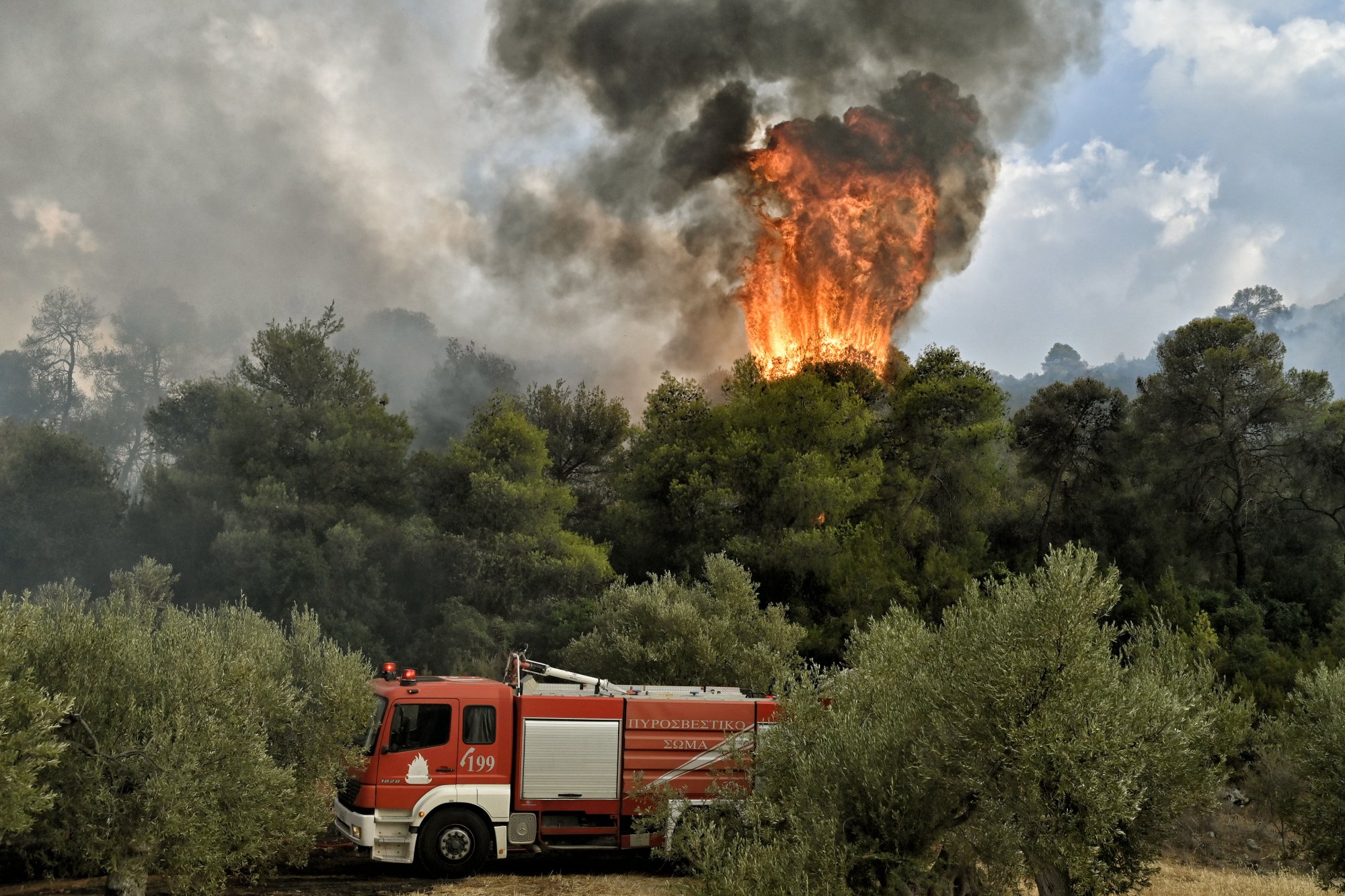 Πυρκαγιά σε δασική έκταση στο χωριό Καλυβάκια Ηλείας