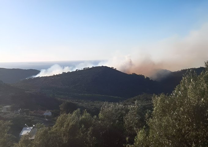 Πυρκαγιά σε δασική έκταση στην περιοχή Μαύρος Κόλυμπος Λασιθίου Κρήτης