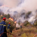 Πυρκαγιά σε χαμηλή βλάστηση στην περιοχή Καρυά Φθιώτιδας