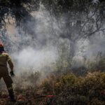 Υπό μερικό έλεγχο τέθηκε η πυρκαγιά σε δασική έκταση στην περιοχή Άγναντη Φθιώτιδας