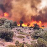 Πυρκαγιά σε δασική έκταση στην περιοχή Άγναντη Φθιώτιδας