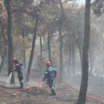 Σε ύφεση πυρκαγιά σε δασική έκταση στην Καστοριά