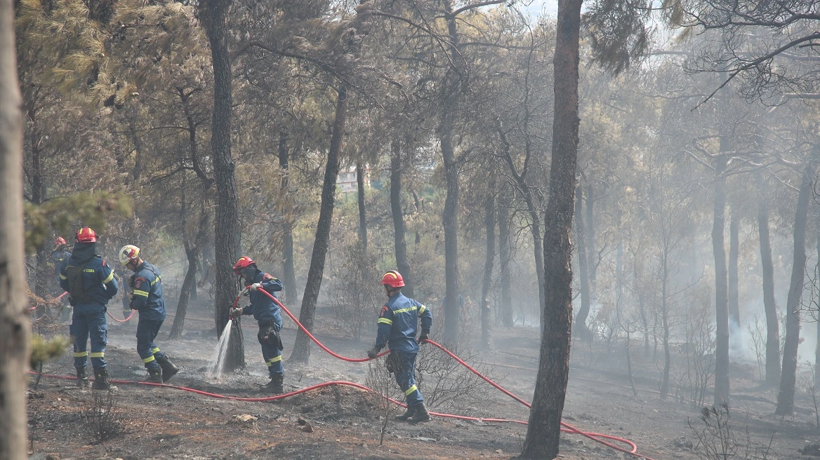 Σε ύφεση πυρκαγιά σε δασική έκταση στην Καστοριά