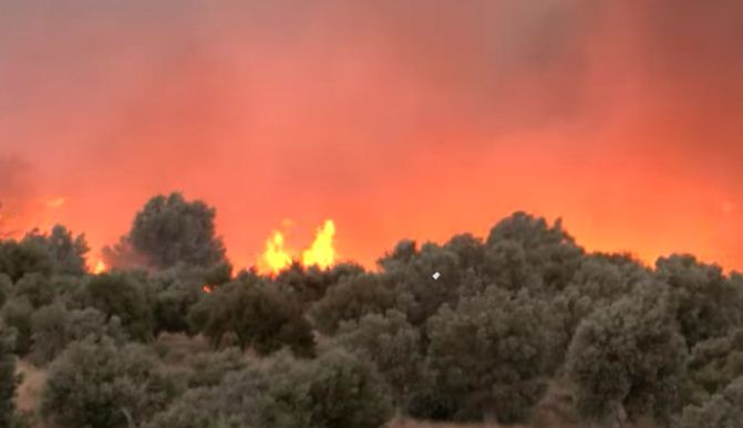 Πυρκαγιά σε αγροτοδασική έκταση στο Άνυδρο Φθιώτιδας