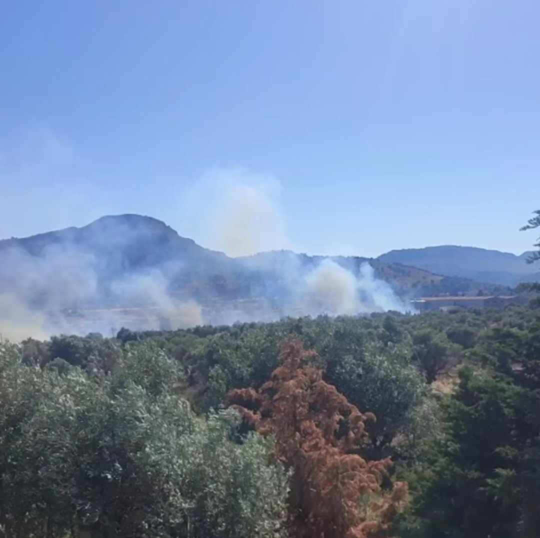 Πυρκαγιά σε χαμηλή βλάστηση στα Κολύμπια Ρόδου