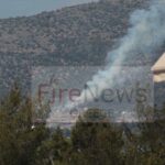 Άμεσα τέθηκε υπό μερικό έλεγχο πυρκαγιά σε χαμηλή βλάστηση στην Πετρούπολη