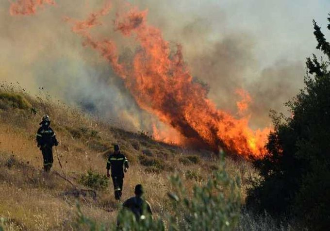 Πυροσβεστική: 14 αγροτοδασικές πυρκαγιές το τελευταίο 24ωρο