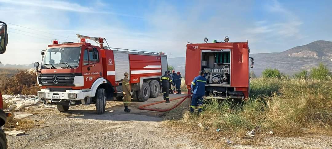 Συλλήψεις και επιβολή διοικητικών προστίμων σε Ζάκυνθο, Ηλεία, Φωκίδα, Φθιώτιδα, Μαγνησία, Σκιάθο και Θάσο