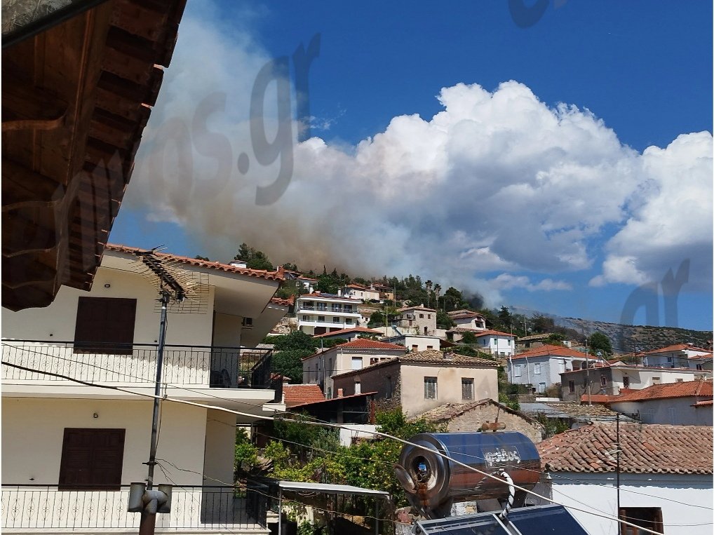 Οριοθετήθηκε η δασική πυρκαγιά στην Προσύμνη Αργολίδας