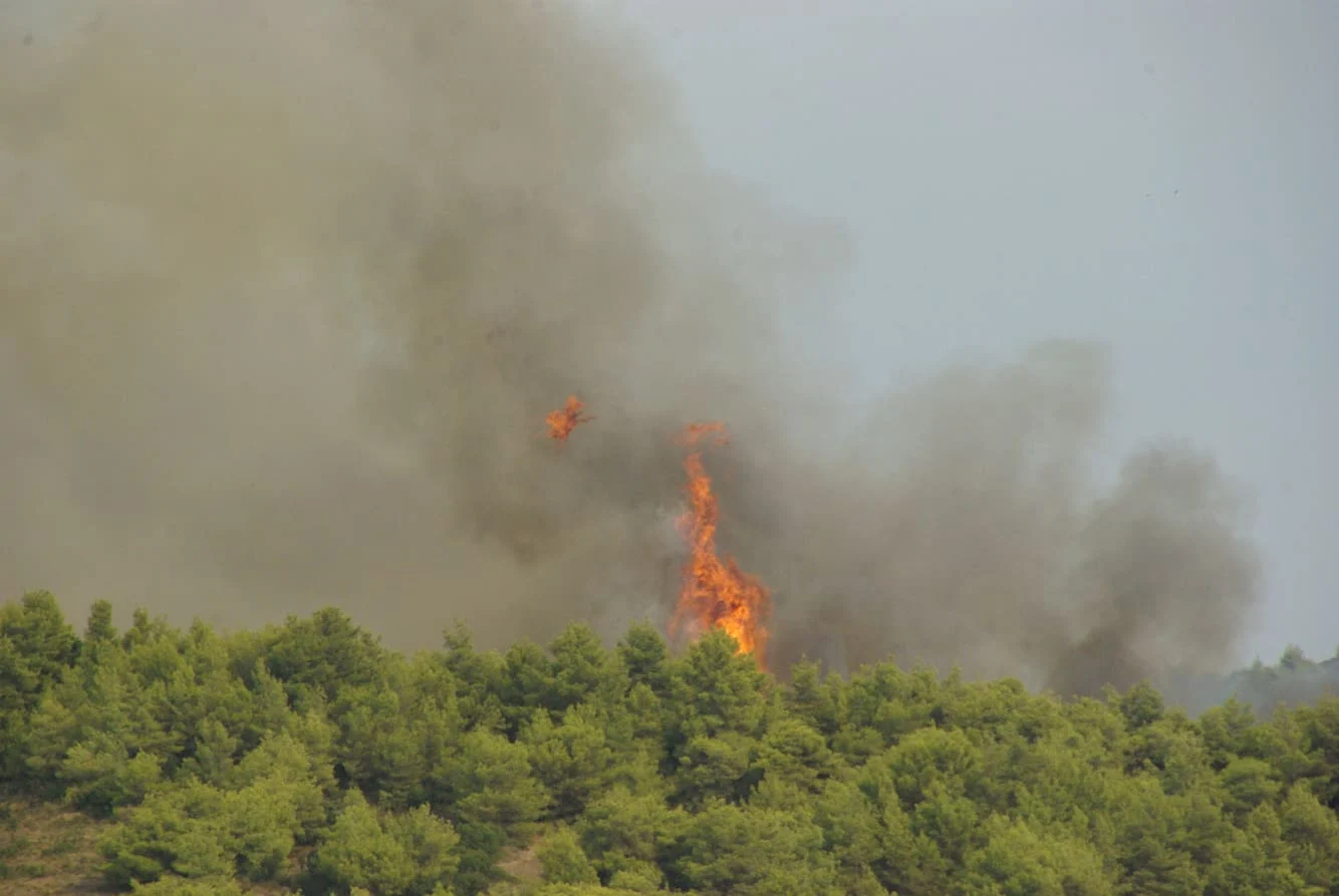 Πυρκαγιά σε δασική έκταση στο Ακραίφνιο Βοιωτίας