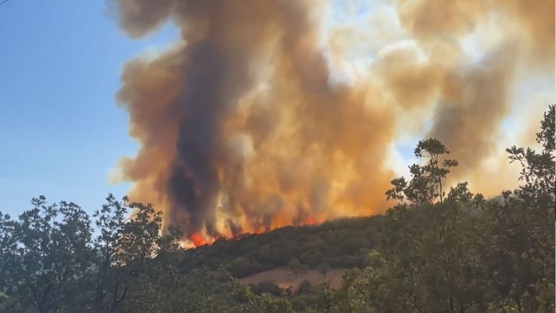 Πυρκαγιά σε αγροτοδασική έκταση στην περιοχή Μούρεσι Μαγνησίας