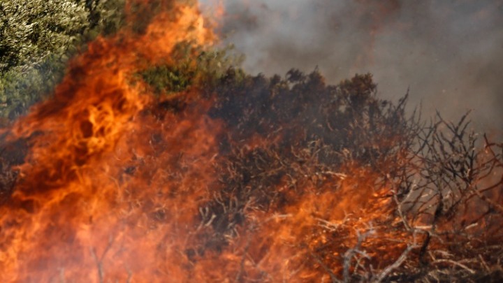 Σύλληψη και επιβολή διοικητικών προστίμων σε Αττική, Κεφαλονιά, Χαλκιδική, Εύβοια, Έβρο, Ρέθυμνο και Κέρκυρα