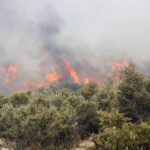 Άμεσα τέθηκε υπό μερικό έλεγχο πυρκαγιά σε χαμηλή βλάστηση στα Βασιλικά Σαλαμίνας