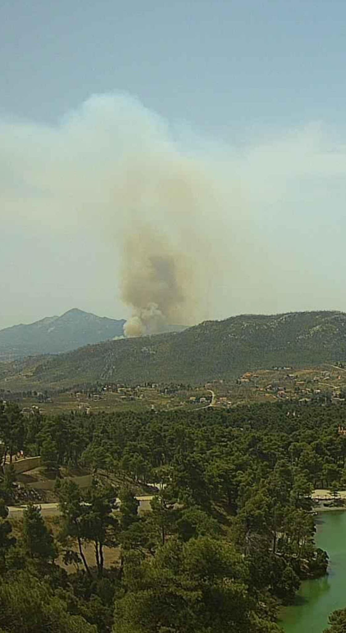 Πυρκαγιά σε δασική έκταση στη Δροσοπηγή Αττικής