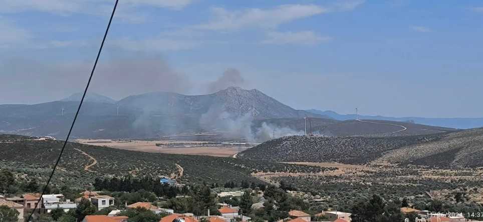 Πυρκαγιά σε δασική έκταση στην περιοχή Μαυροβούνι Βοιωτίας