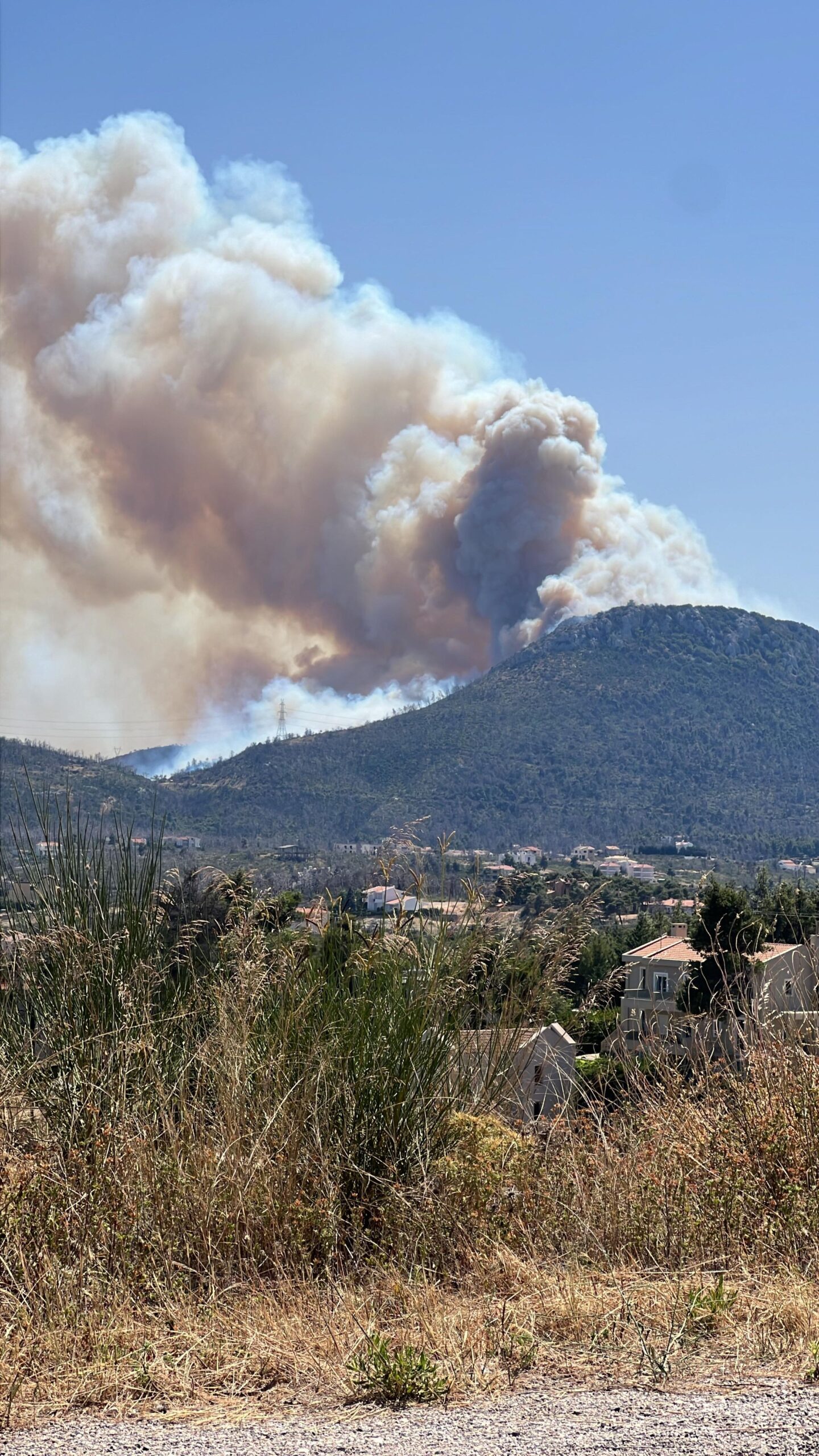 Πυρκαγιά σε δασική έκταση στην περιοχή Κατσιμίδι Πάρνηθας