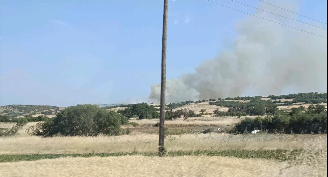 Πυρκαγιά σε αγροτική έκταση στην περιοχή Ασκητές Ροδόπης