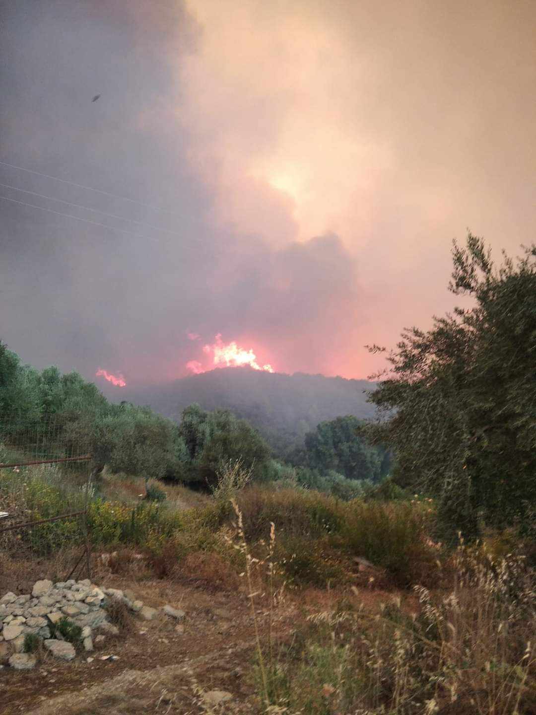 Πυρκαγιές: Σε πύρινο κλοιό η Πελοπόννησος – Συνεχείς εντολές εκκένωσης οικισμών