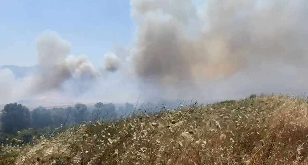 Πυρκαγιά σε χαμηλή βλάστηση στην περιοχή Χωρέμη Αρκαδίας