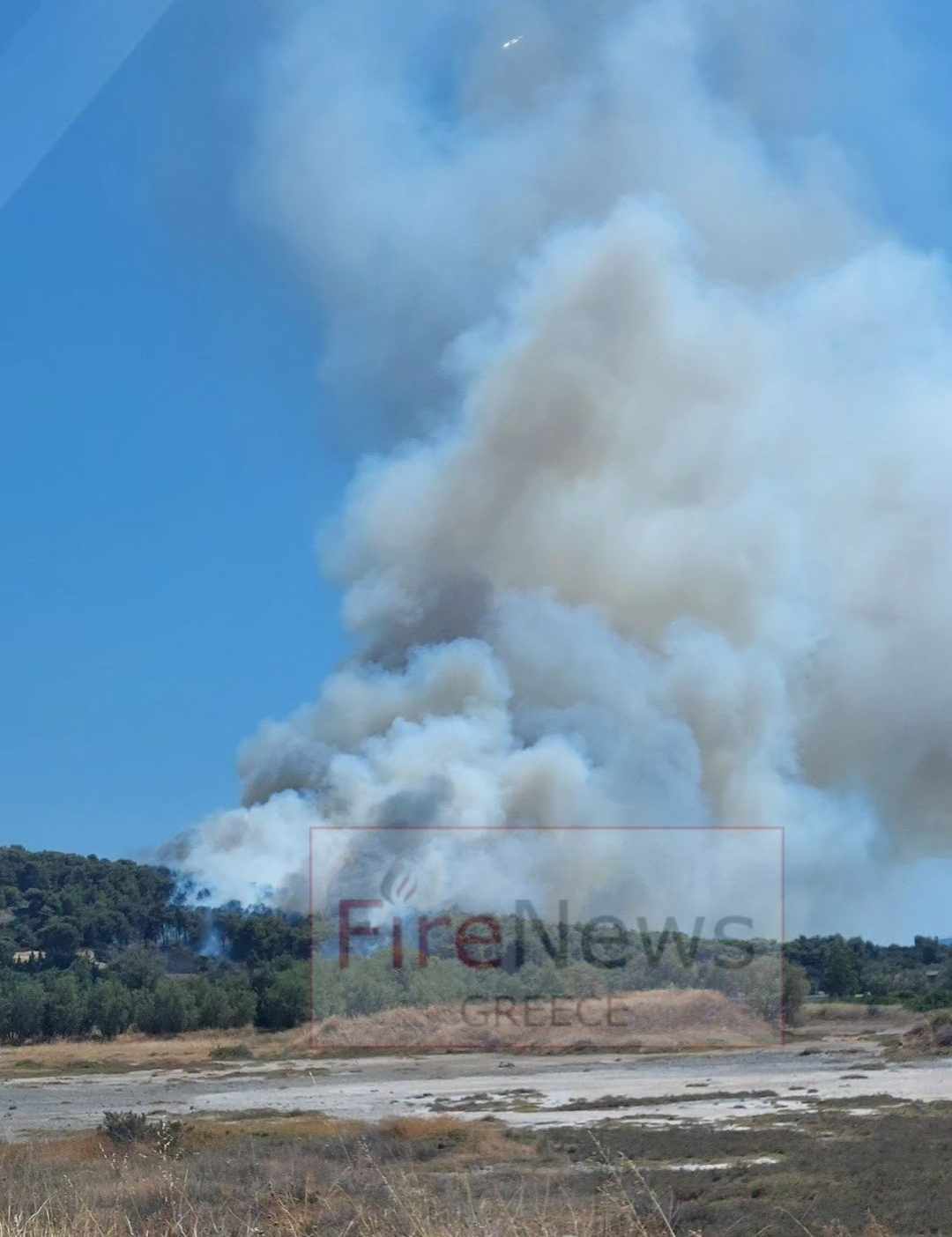 Πυρκαγιά σε δασική έκταση στη Νέα Αρτάκη Ευβοίας