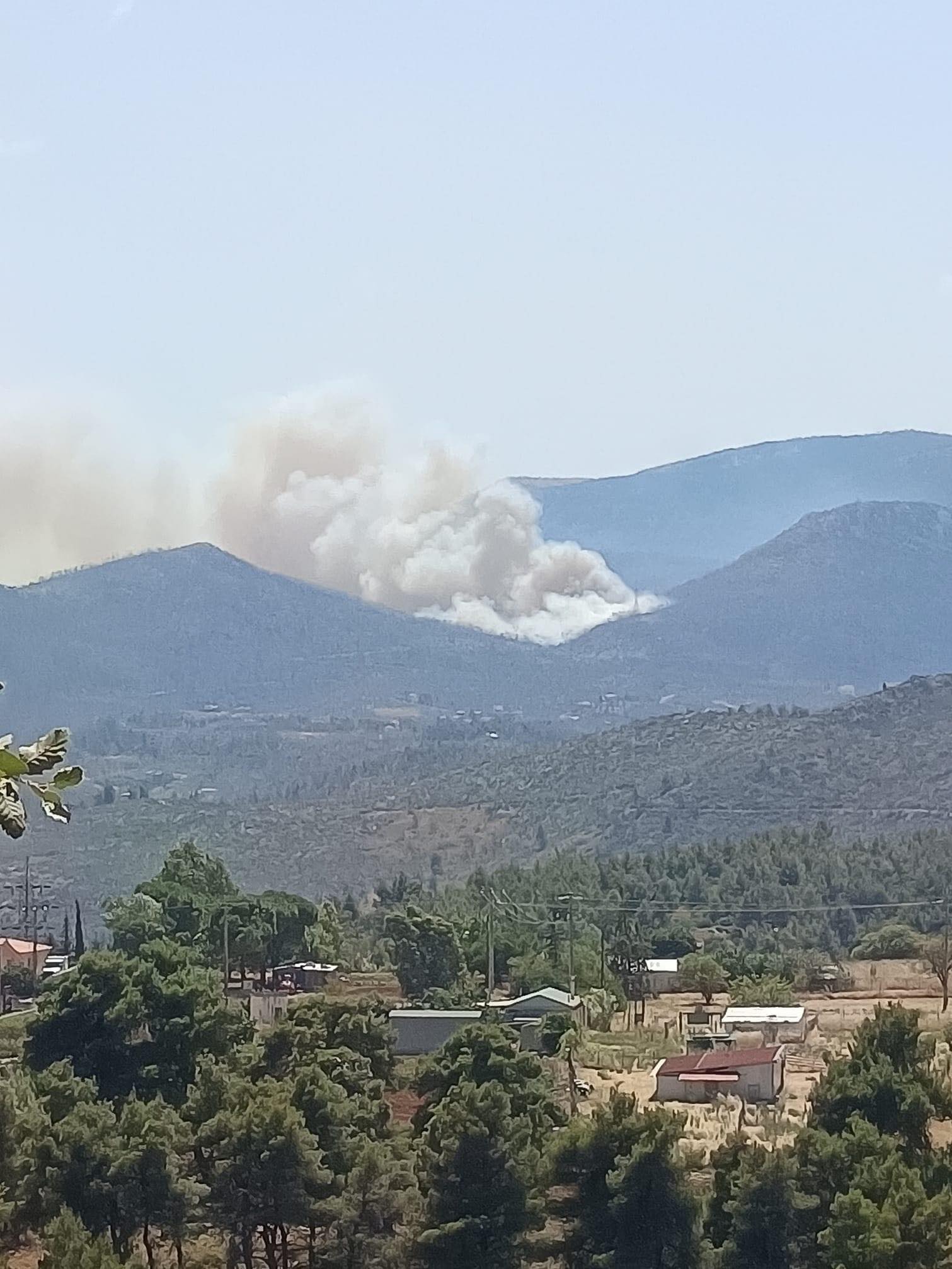 Πυρκαγιά σε δασική έκταση στην περιοχή Κατσιμίδι Πάρνηθας