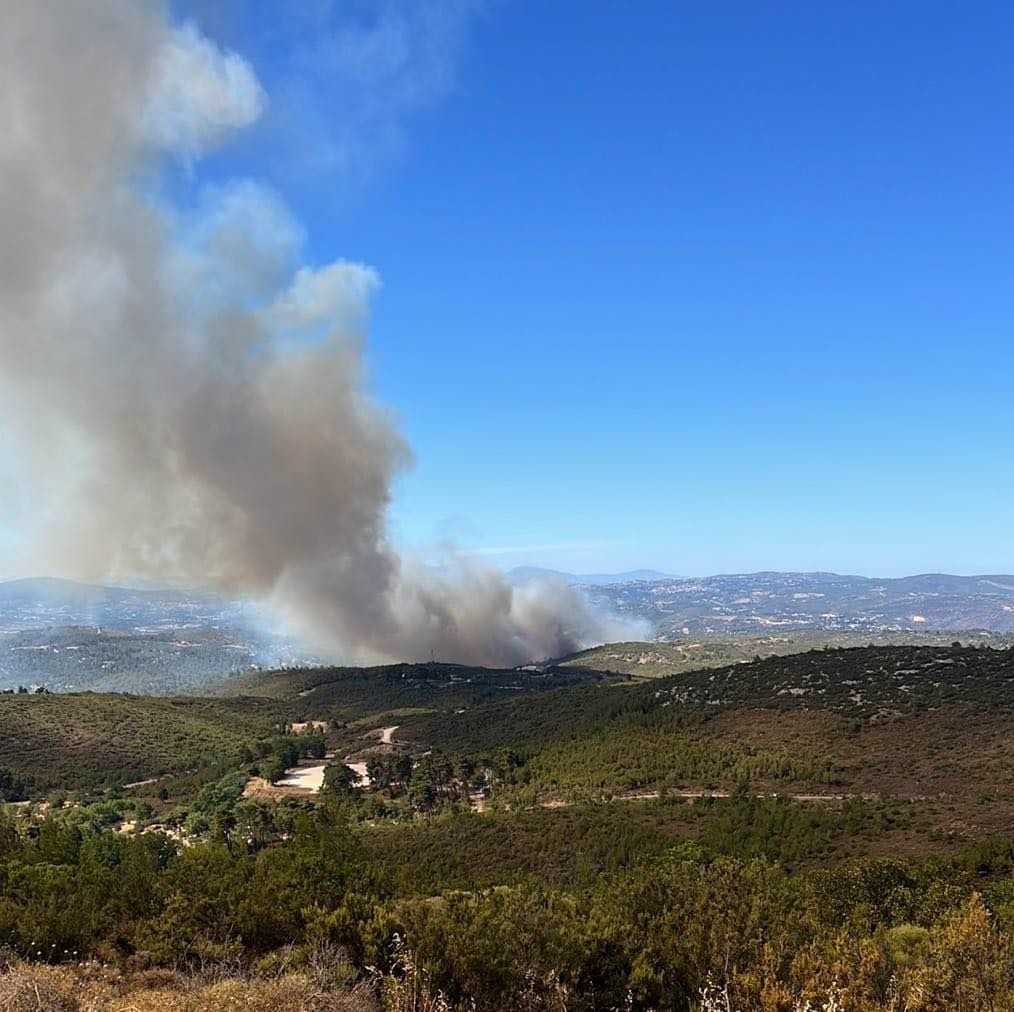 Πυρκαγιά σε δασική έκταση στην περιοχή της Σταμάτας Αττικής