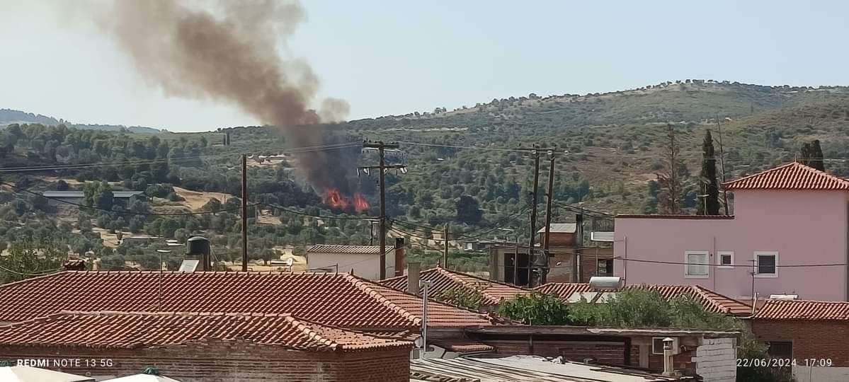 Πυρκαγιά σε δασική έκταση στο Κοντοδεσπότι Εύβοιας