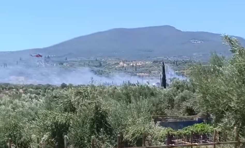 Πυρκαγιά σε αγροτοδασική έκταση στο Πεταλίδι Μεσσηνίας