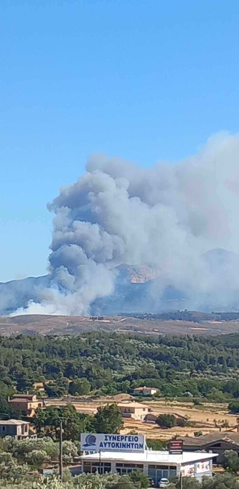 Πυρκαγιά σε δασική έκταση στην περιοχή της Σταμάτας Αττικής